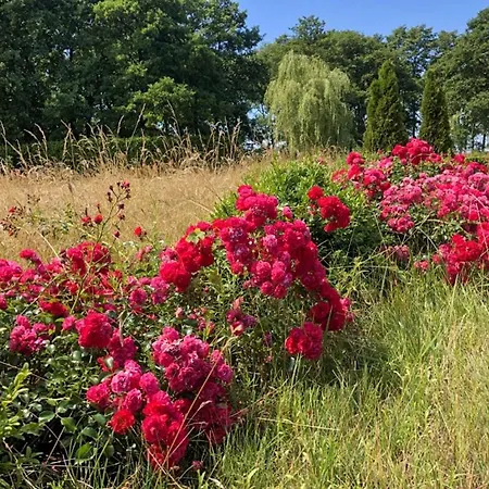 Apolonia Villa Biebrowo