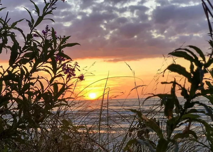 别墅 Apolonia Biebrowo