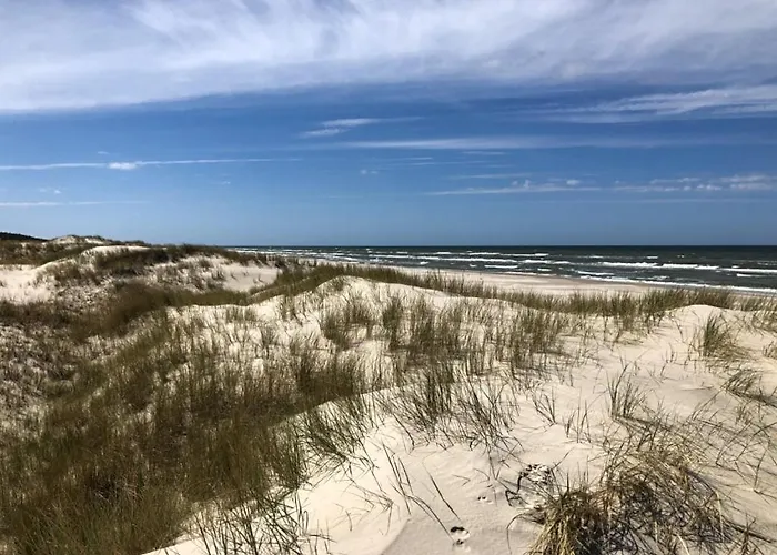 别墅 Apolonia Biebrowo