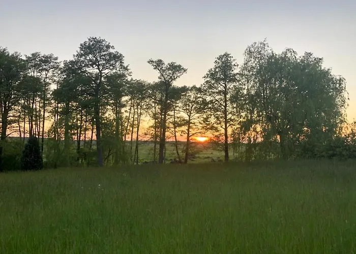 Apolonia 别墅 Biebrowo