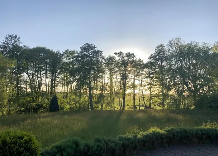 Apolonia 别墅 Biebrowo